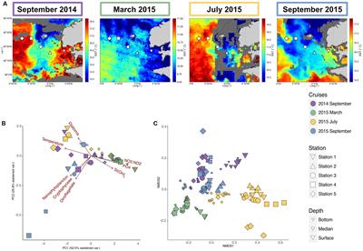 Linking Spatial and Temporal Dynamic of Bacterioplankton Communities With Ecological Strategies Across a Coastal Frontal Area